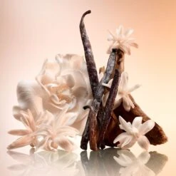 CHARLOTTE'S MAGIC JOYPHORIA BODY CREAM 200ML -Charlotte Tillbury Store Joyphoria Creative Still Ingredients Only